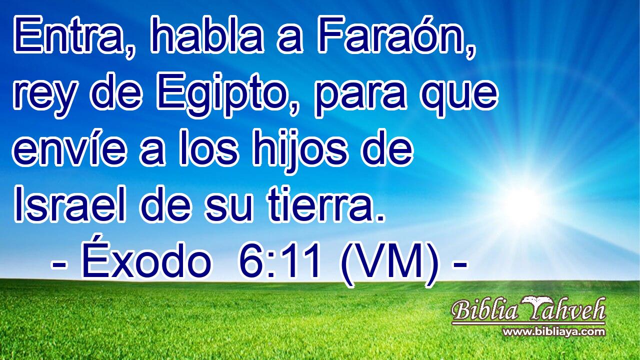  Entra, habla a Faraón, rey de Egipto, para que envíe a los hijos de Israel de su tierra. 
