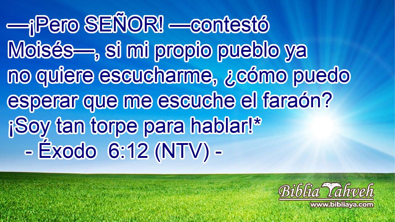 —¡Pero SEÑOR! —contestó Moisés—, si mi propio pueblo ya no quiere escucharme, ¿cómo puedo esperar que me escuche el faraón? ¡Soy tan torpe para hablar!*