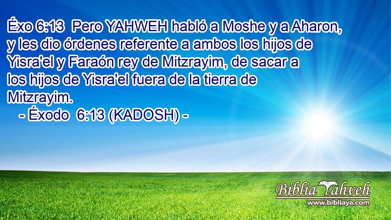  Pero YAHWEH habló a Moshe y a Aharon, y les dio órdenes referente a ambos los hijos de Yisra'el y Faraón rey de Mitzrayim, de sacar a los hijos de Yisra'el fuera de la tierra de Mitzrayim. 