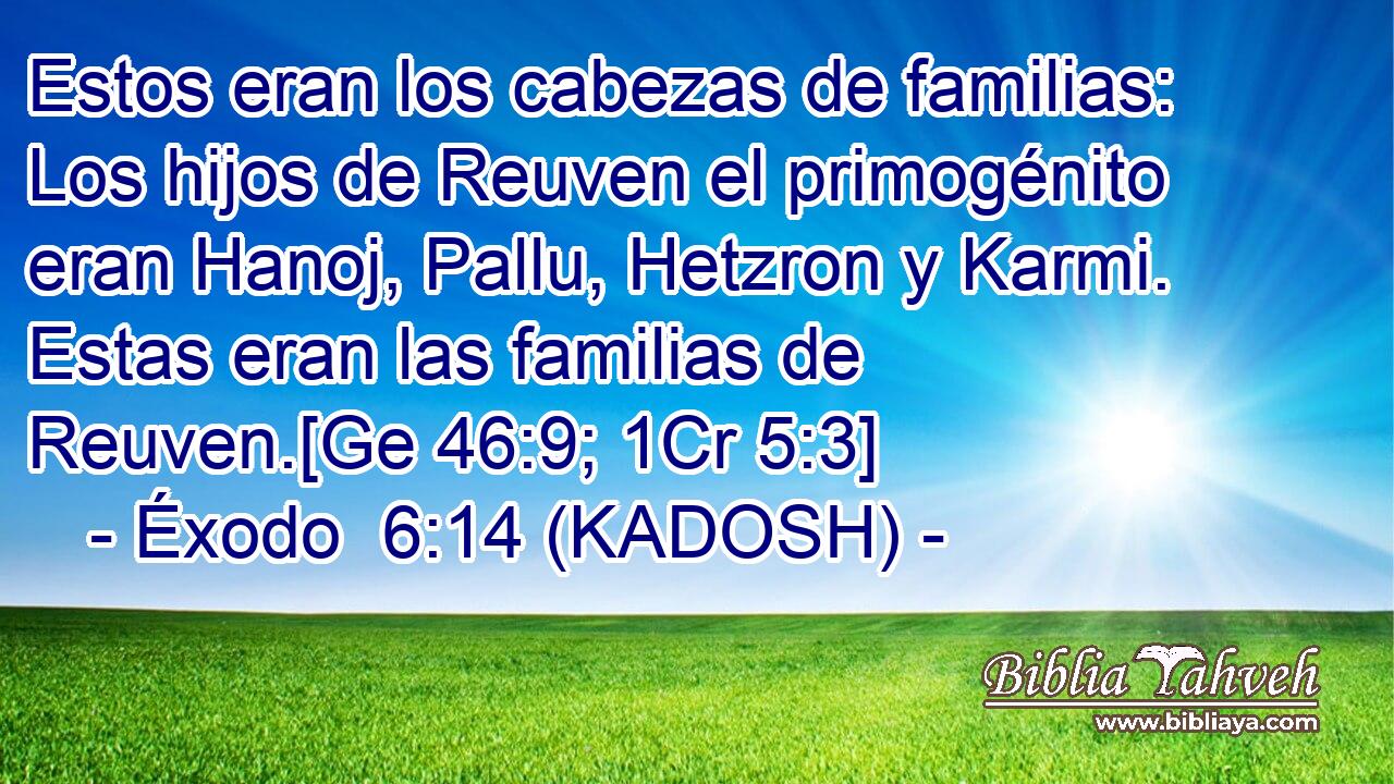  Estos eran los cabezas de familias: Los hijos de Reuven el primogénito eran Hanoj, Pallu, Hetzron y Karmi. Estas eran las familias de Reuven.[Ge 46:9; 1Cr 5:3] 
