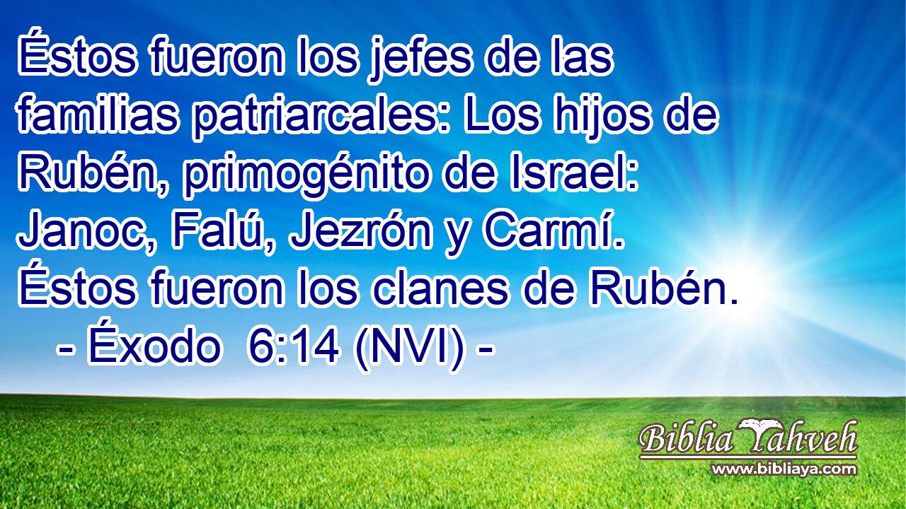  Éstos fueron los jefes de las familias patriarcales: Los hijos de Rubén, primogénito de Israel: Janoc, Falú, Jezrón y Carmí. Éstos fueron los clanes de Rubén. 