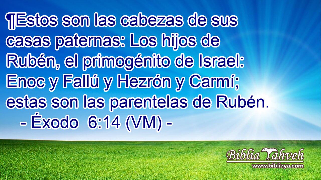  ¶Estos son las cabezas de sus casas paternas: Los hijos de Rubén, el primogénito de Israel: Enoc y Fallú y Hezrón y Carmí; estas son las parentelas de Rubén. 