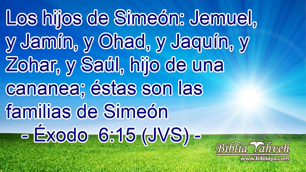 Los hijos de Simeón: Jemuel, y Jamín, y Ohad, y Jaquín, y Zohar, y Saúl, hijo de una cananea; éstas son las familias de Simeón