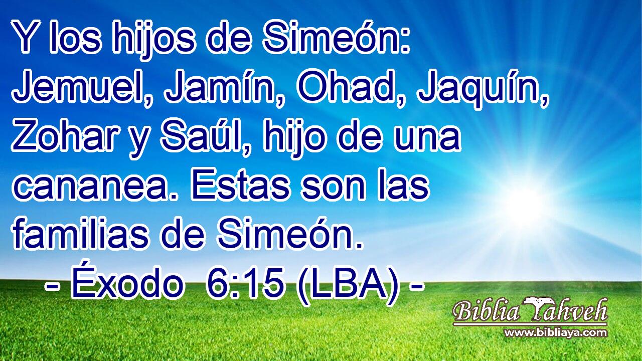 Y los hijos de Simeón: Jemuel, Jamín, Ohad, Jaquín, Zohar y Saúl, hijo de una cananea. Estas son las familias de Simeón.