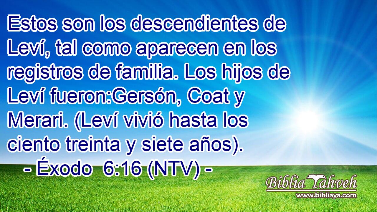 Estos son los descendientes de Leví, tal como aparecen en los registros de familia. Los hijos de Leví fueron:Gersón, Coat y Merari. (Leví vivió hasta los ciento treinta y siete años).
