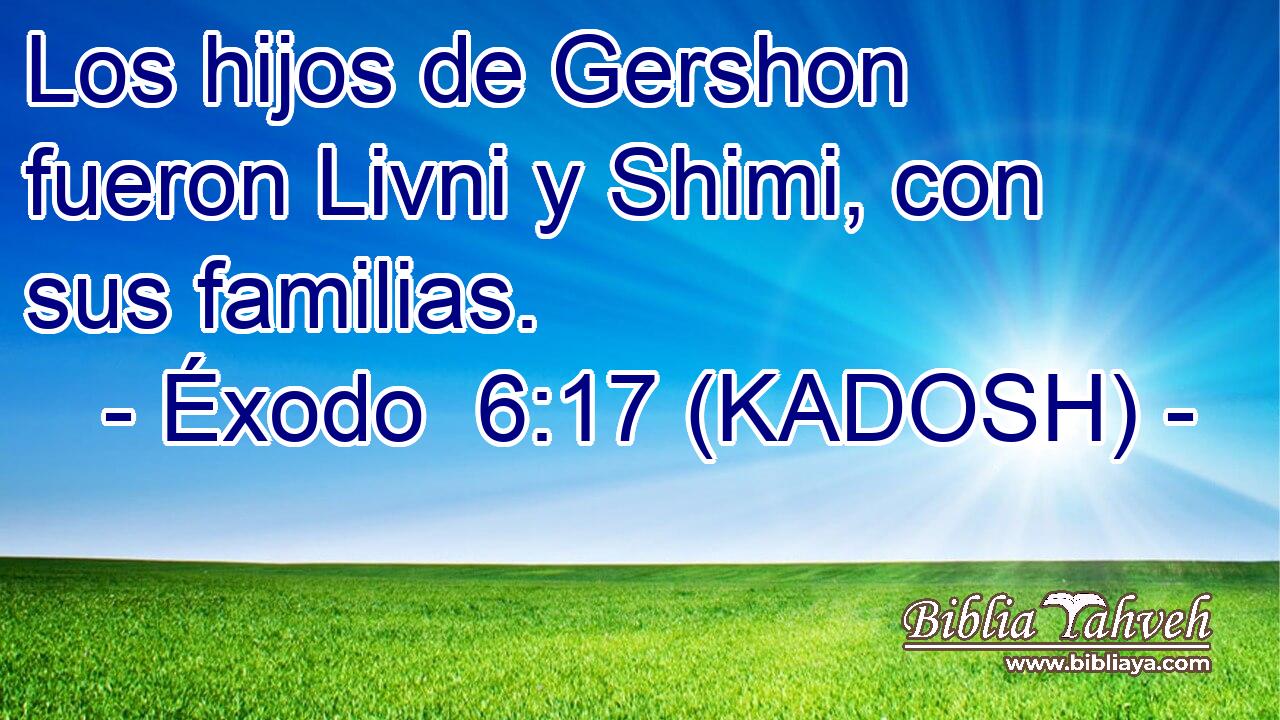  Los hijos de Gershon fueron Livni y Shimi, con sus familias. 