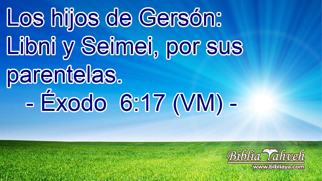  Los hijos de Gersón: Libni y Seimei, por sus parentelas. 