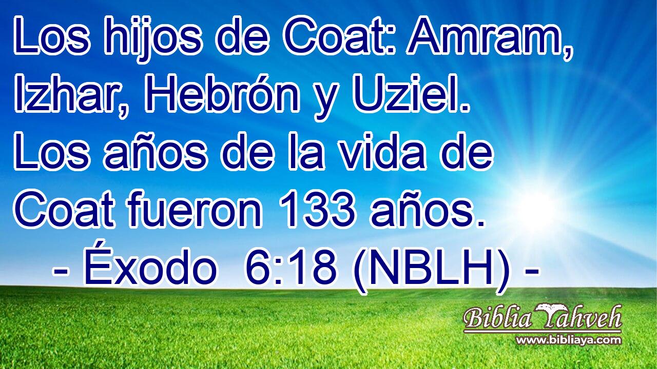  Los hijos de Coat: Amram, Izhar, Hebrón y Uziel. Los años de la vida de Coat fueron 133 años. 