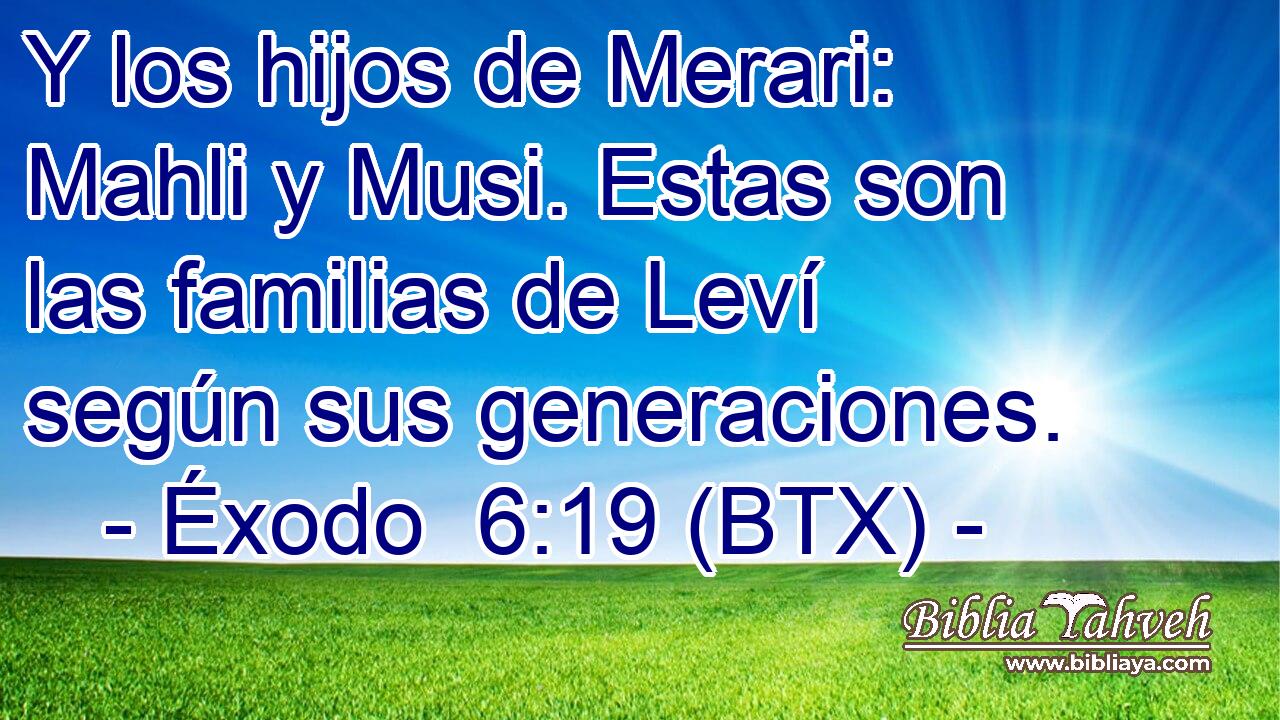 Y los hijos de Merari: Mahli y Musi. Estas son las familias de Leví según sus generaciones.