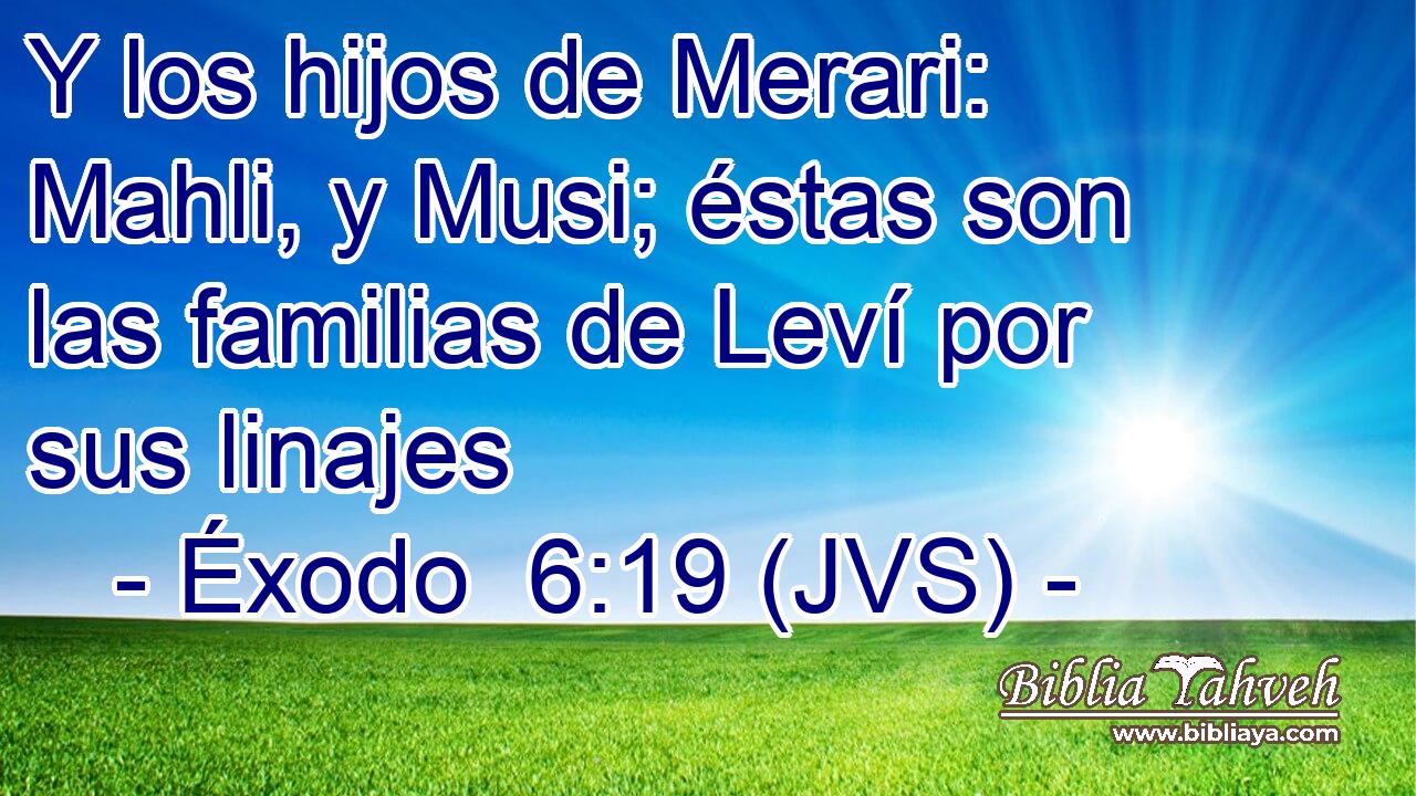 Y los hijos de Merari: Mahli, y Musi; éstas son las familias de Leví por sus linajes