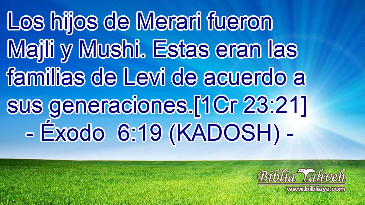  Los hijos de Merari fueron Majli y Mushi. Estas eran las familias de Levi de acuerdo a sus generaciones.[1Cr 23:21] 