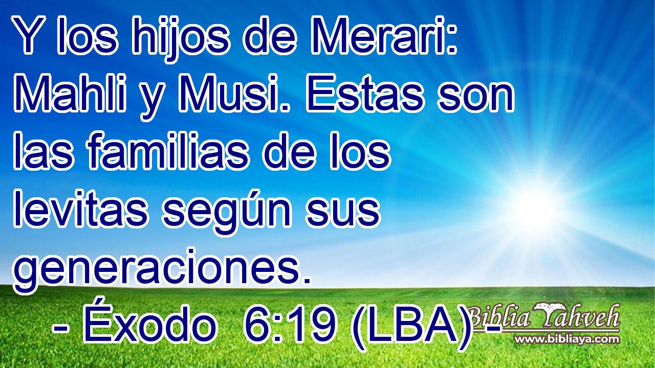 Y los hijos de Merari: Mahli y Musi. Estas son las familias de los levitas según sus generaciones.