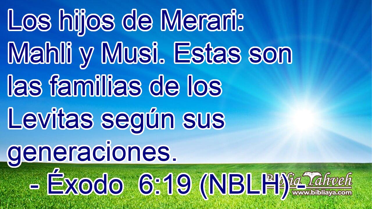  Los hijos de Merari: Mahli y Musi. Estas son las familias de los Levitas según sus generaciones. 