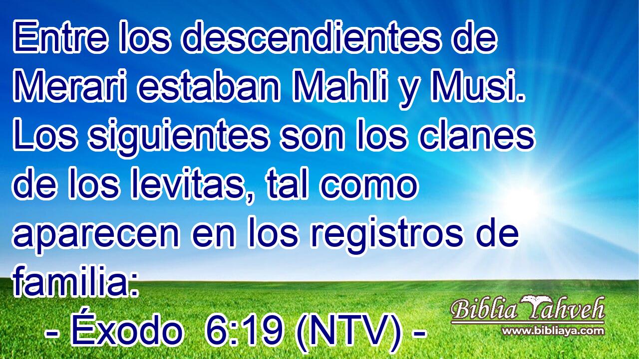Entre los descendientes de Merari estaban Mahli y Musi. Los siguientes son los clanes de los levitas, tal como aparecen en los registros de familia: