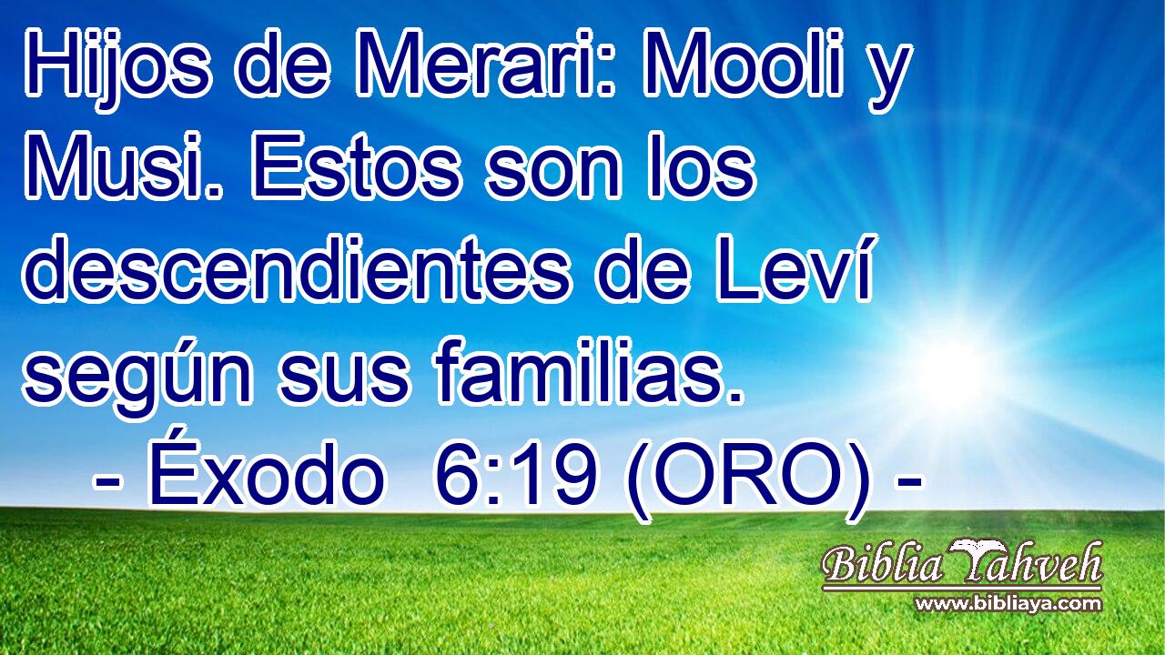  Hijos de Merari: Mooli y Musi. Estos son los descendientes de Leví según sus familias. 