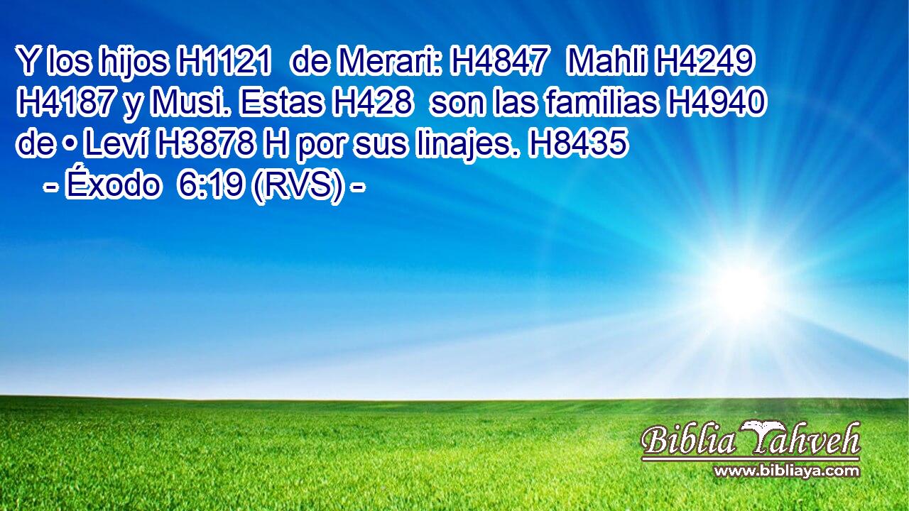 Y los hijos H1121  de Merari: H4847  Mahli H4249  H4187 y Musi. Estas H428  son las familias H4940  de • Leví H3878 H por sus linajes. H8435  