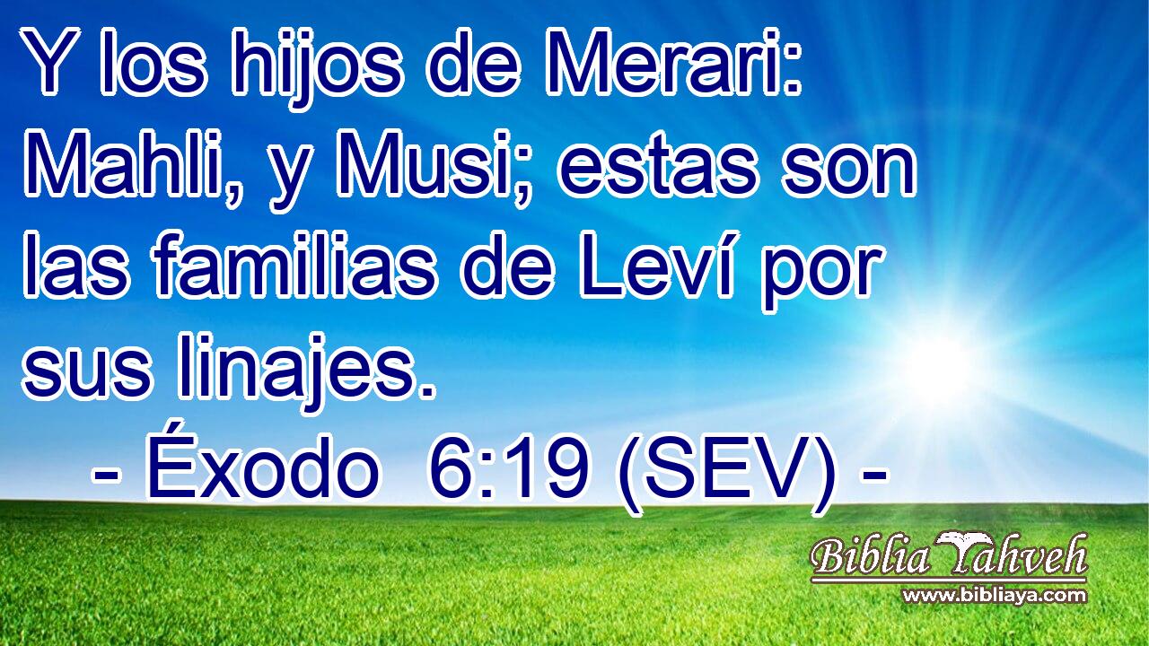 Y los hijos de Merari: Mahli, y Musi; estas son las familias de Leví por sus linajes.
