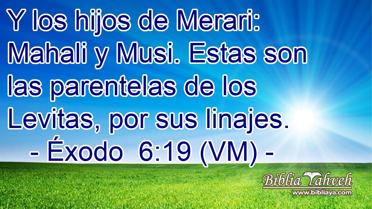 Y los hijos de Merari: Mahali y Musi. Estas son las parentelas de los Levitas, por sus linajes. 
