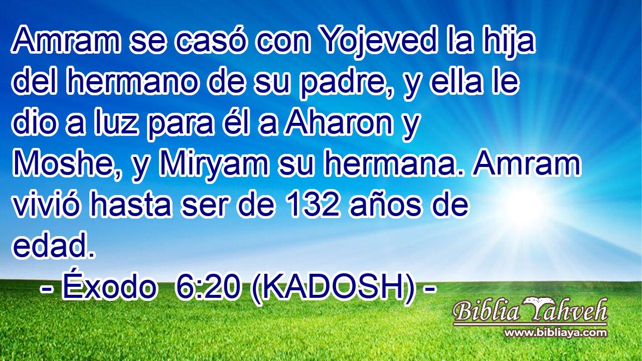  Amram se casó con Yojeved la hija del hermano de su padre, y ella le dio a luz para él a Aharon y Moshe, y Miryam su hermana. Amram vivió hasta ser de 132 años de edad. 