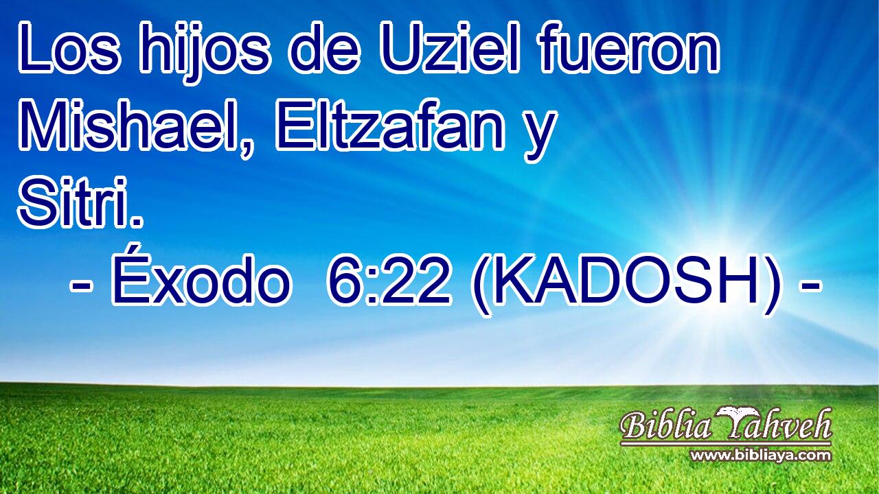  Los hijos de Uziel fueron Mishael, Eltzafan y Sitri. 