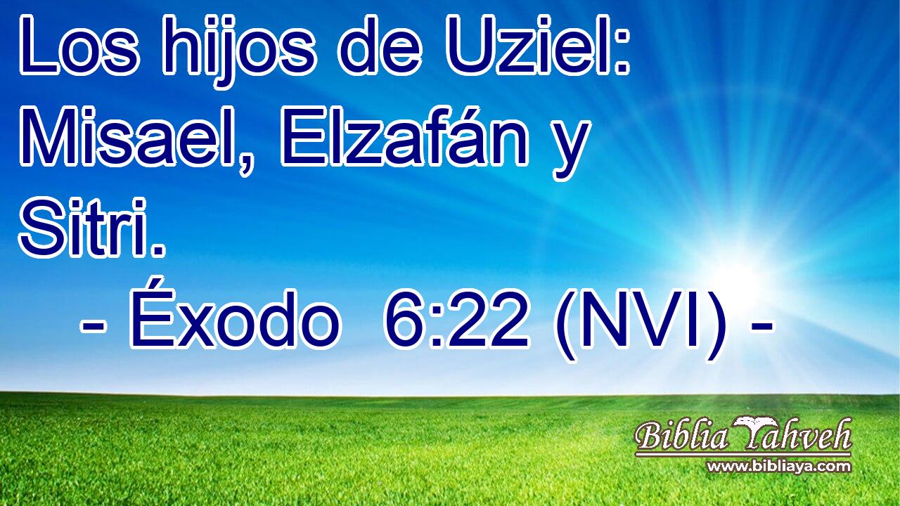  Los hijos de Uziel: Misael, Elzafán y Sitri. 