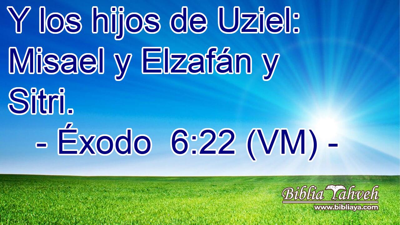  Y los hijos de Uziel: Misael y Elzafán y Sitri. 
