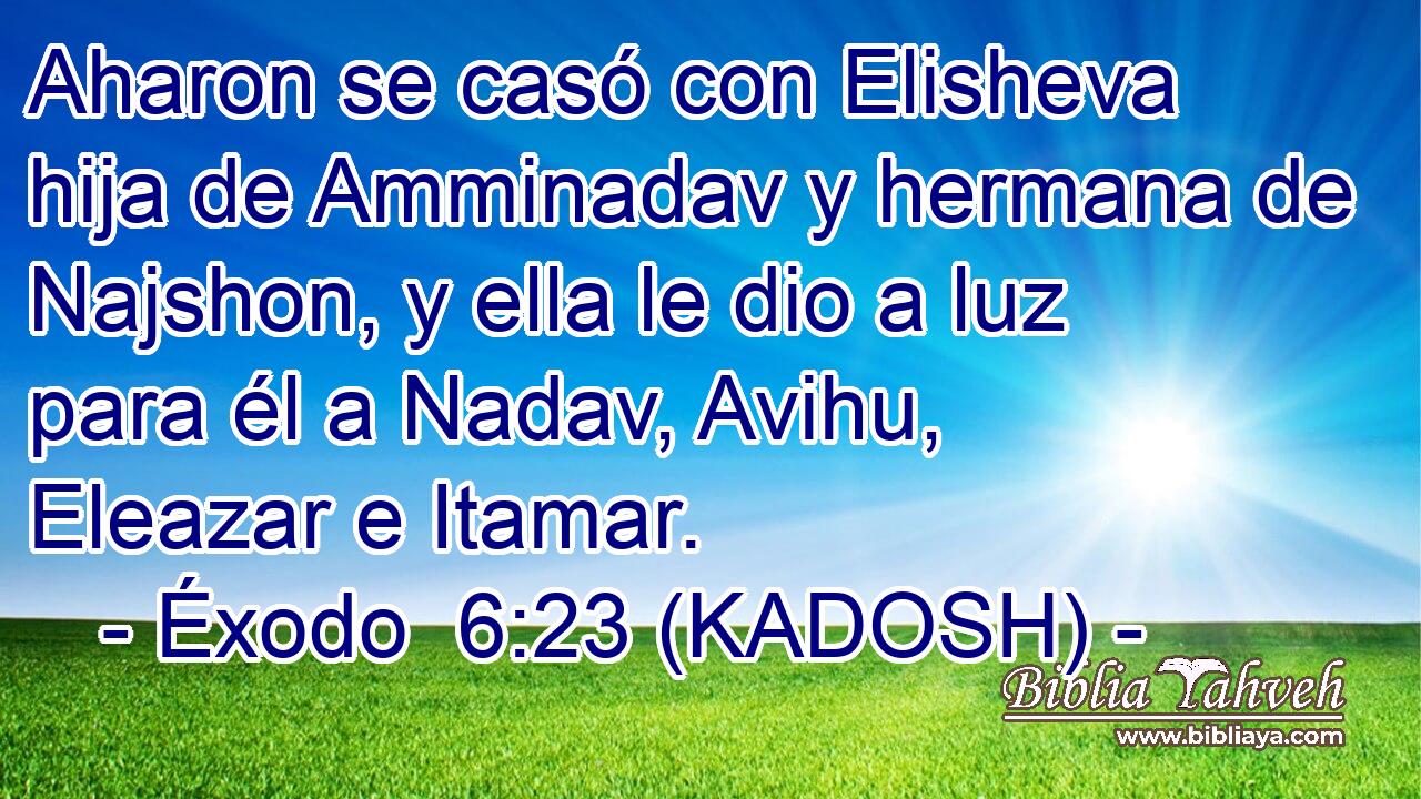  Aharon se casó con Elisheva hija de Amminadav y hermana de Najshon, y ella le dio a luz para él a Nadav, Avihu, Eleazar e Itamar. 