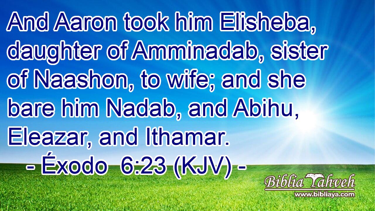 And Aaron took him Elisheba, daughter of Amminadab, sister of Naashon, to wife; and she bare him Nadab, and Abihu, Eleazar, and Ithamar.