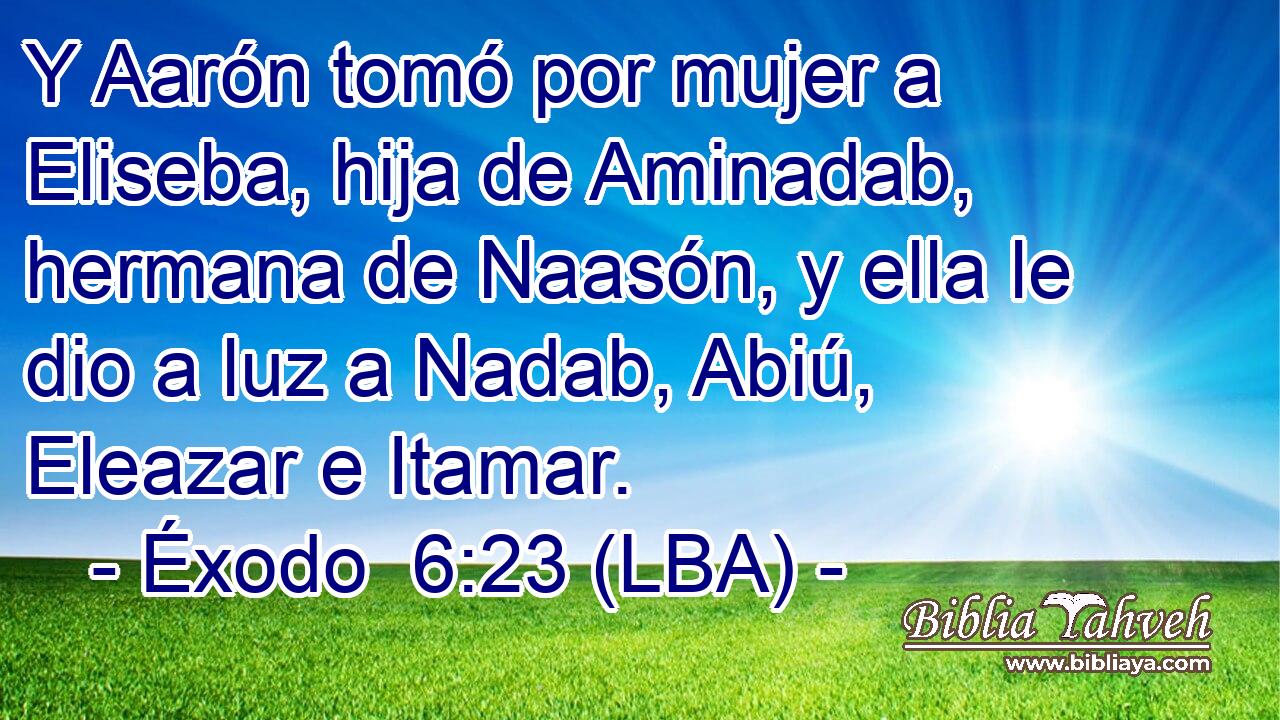 Y Aarón tomó por mujer a Eliseba, hija de Aminadab, hermana de Naasón, y ella le dio a luz a Nadab, Abiú, Eleazar e Itamar.