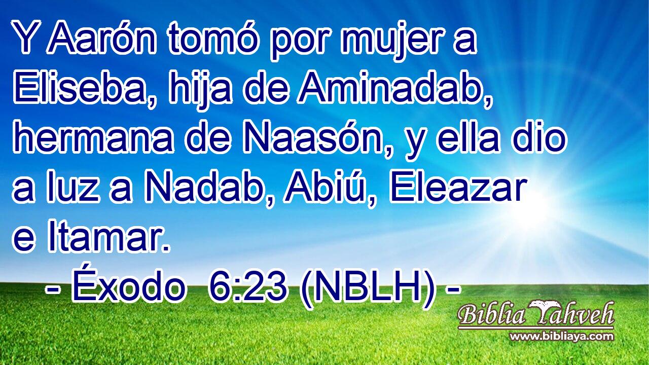  Y Aarón tomó por mujer a Eliseba, hija de Aminadab, hermana de Naasón, y ella dio a luz a Nadab, Abiú, Eleazar e Itamar. 
