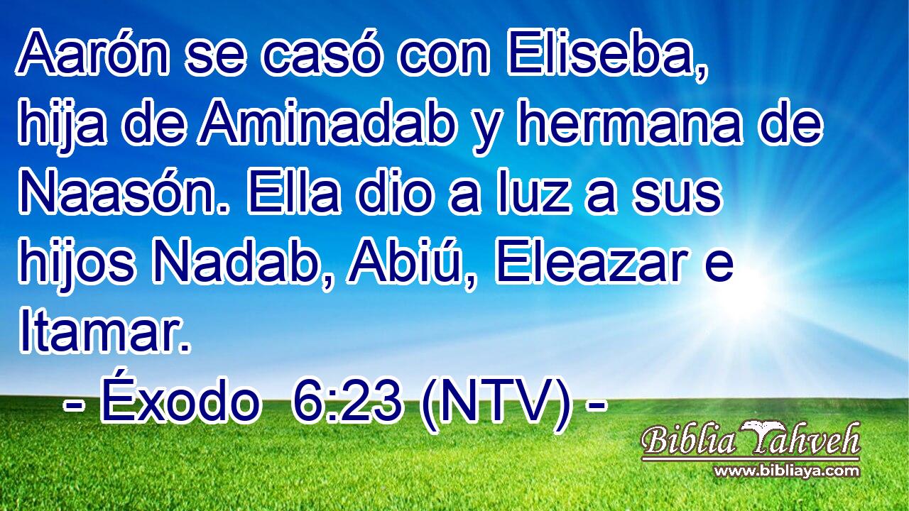 Aarón se casó con Eliseba, hija de Aminadab y hermana de Naasón. Ella dio a luz a sus hijos Nadab, Abiú, Eleazar e Itamar.