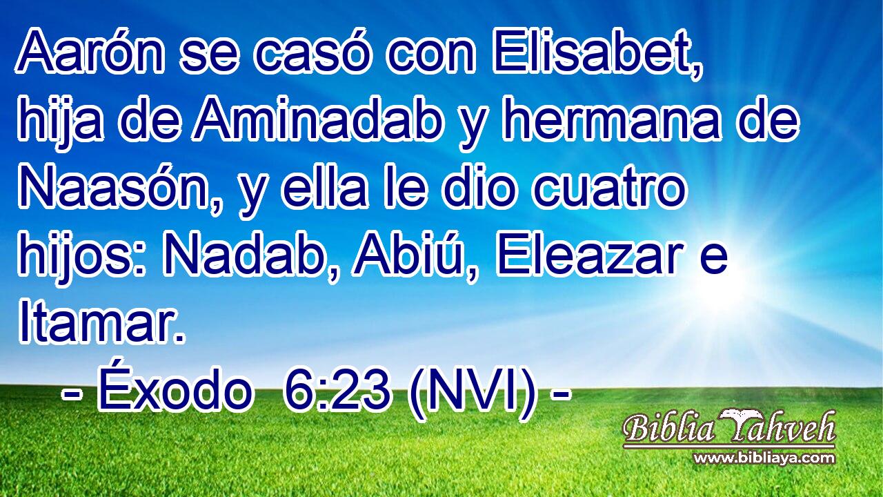  Aarón se casó con Elisabet, hija de Aminadab y hermana de Naasón, y ella le dio cuatro hijos: Nadab, Abiú, Eleazar e Itamar. 