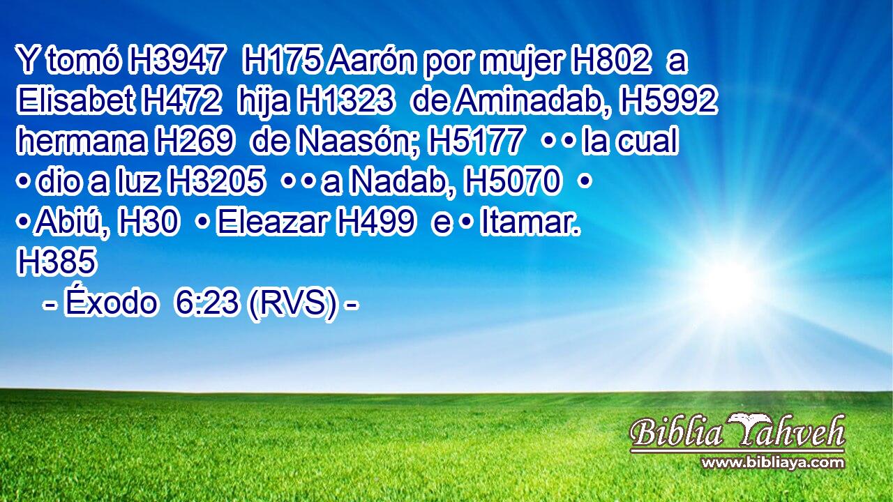 Y tomó H3947  H175 Aarón por mujer H802  a Elisabet H472  hija H1323  de Aminadab, H5992  hermana H269  de Naasón; H5177  • • la cual • dio a luz H3205  • • a Nadab, H5070  • • Abiú, H30  • Eleazar H499  e • Itamar. H385  