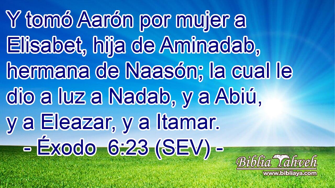 Y tomó Aarón por mujer a Elisabet, hija de Aminadab, hermana de Naasón; la cual le dio a luz a Nadab, y a Abiú, y a Eleazar, y a Itamar.