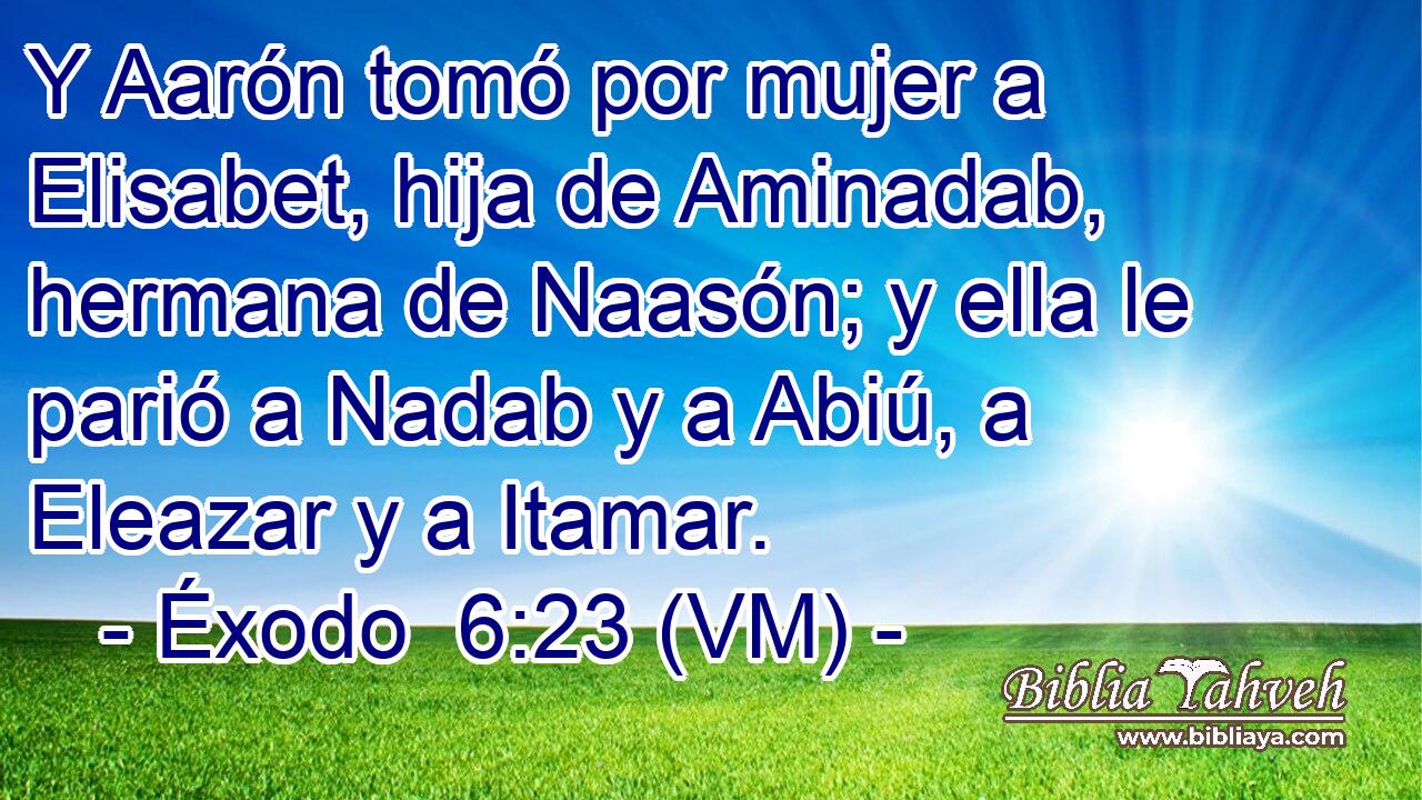  Y Aarón tomó por mujer a Elisabet, hija de Aminadab, hermana de Naasón; y ella le parió a Nadab y a Abiú, a Eleazar y a Itamar. 
