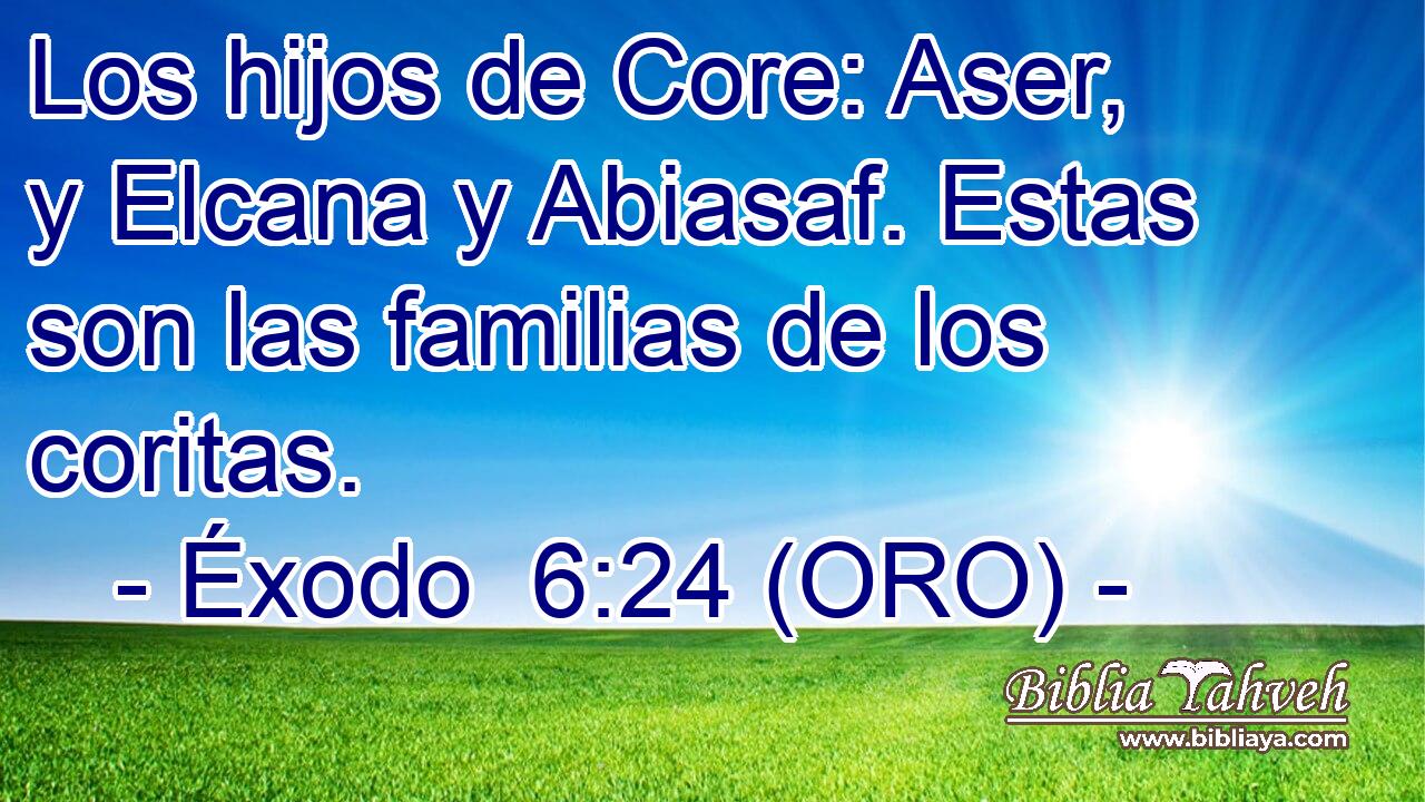  Los hijos de Core: Aser, y Elcana y Abiasaf. Estas son las familias de los coritas. 
