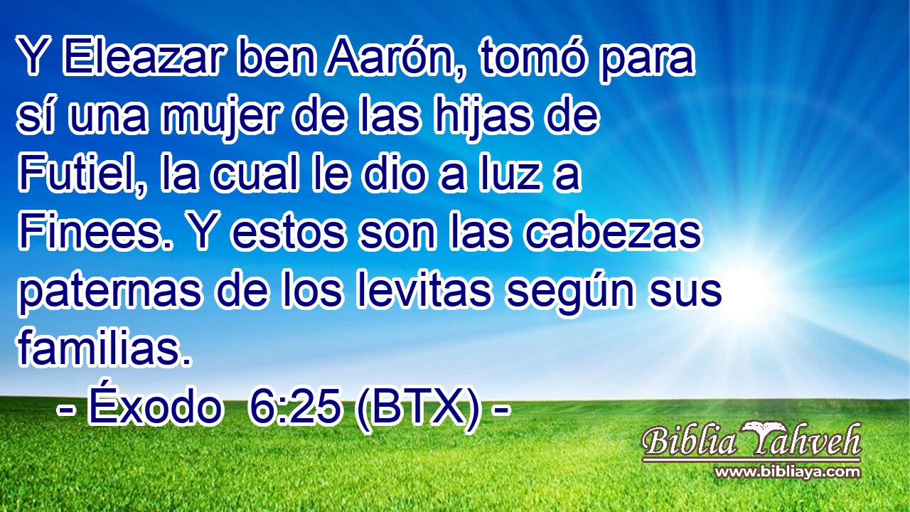 Y Eleazar ben Aarón, tomó para sí una mujer de las hijas de Futiel, la cual le dio a luz a Finees. Y estos son las cabezas paternas de los levitas según sus familias.