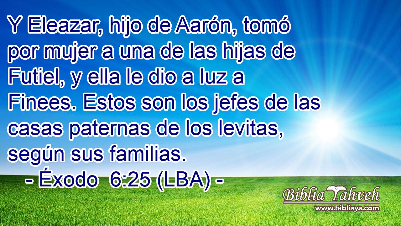 Y Eleazar, hijo de Aarón, tomó por mujer a una de las hijas de Futiel, y ella le dio a luz a Finees. Estos son los jefes de las casas paternas de los levitas, según sus familias.