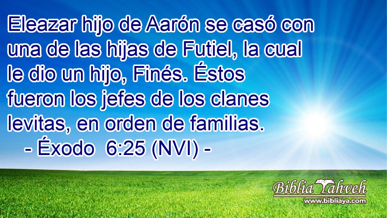  Eleazar hijo de Aarón se casó con una de las hijas de Futiel, la cual le dio un hijo, Finés. Éstos fueron los jefes de los clanes levitas, en orden de familias. 