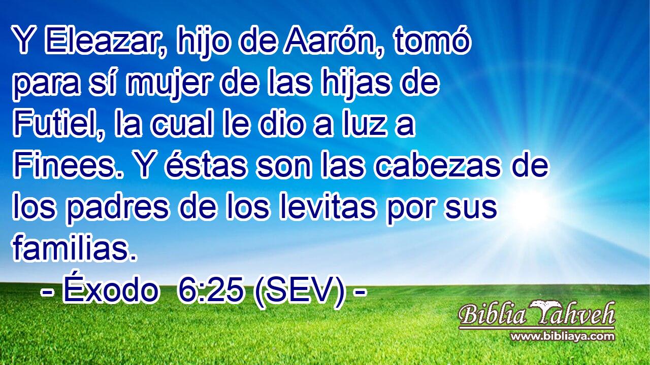 Y Eleazar, hijo de Aarón, tomó para sí mujer de las hijas de Futiel, la cual le dio a luz a Finees. Y éstas son las cabezas de los padres de los levitas por sus familias.