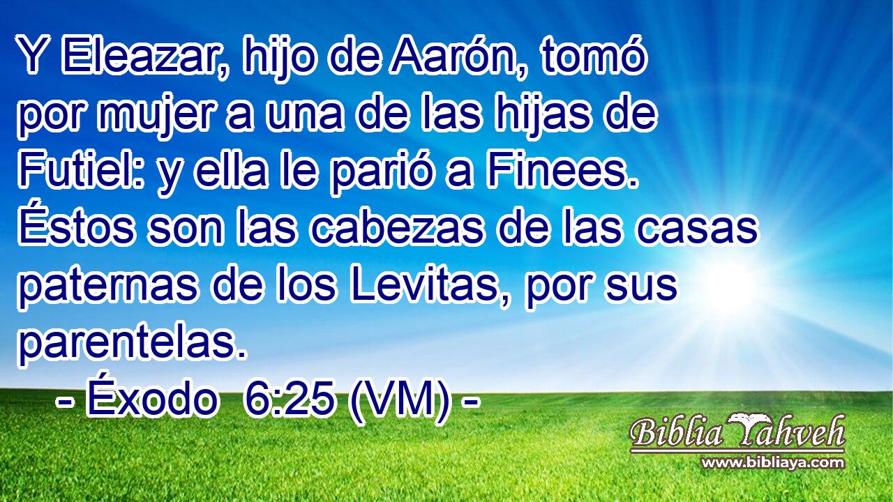  Y Eleazar, hijo de Aarón, tomó por mujer a una de las hijas de Futiel: y ella le parió a Finees. Éstos son las cabezas de las casas paternas de los Levitas, por sus parentelas. 