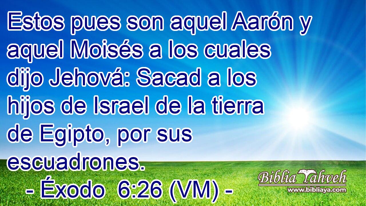  Estos pues son aquel Aarón y aquel Moisés a los cuales dijo Jehová: Sacad a los hijos de Israel de la tierra de Egipto, por sus escuadrones. 