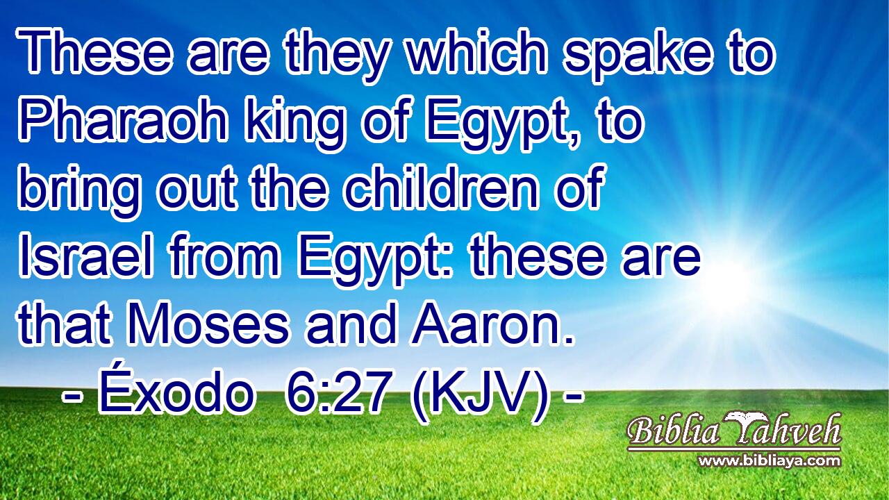 These are they which spake to Pharaoh king of Egypt, to bring out the children of Israel from Egypt: these are that Moses and Aaron.