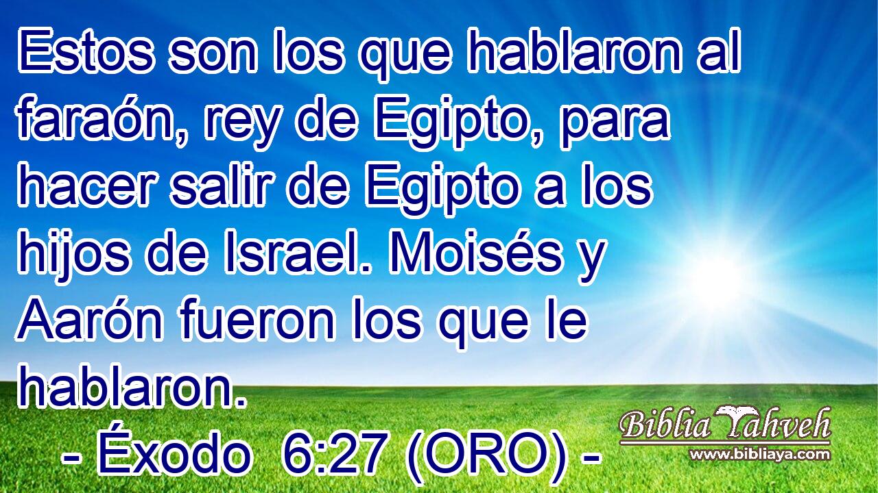  Estos son los que hablaron al faraón, rey de Egipto, para hacer salir de Egipto a los hijos de Israel. Moisés y Aarón fueron los que le hablaron. 