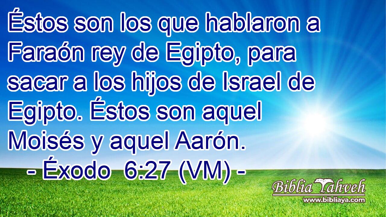  Éstos son los que hablaron a Faraón rey de Egipto, para sacar a los hijos de Israel de Egipto. Éstos son aquel Moisés y aquel Aarón. 