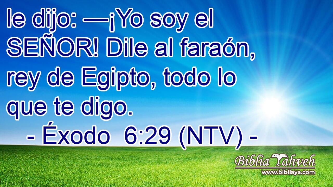 le dijo: —¡Yo soy el SEÑOR! Dile al faraón, rey de Egipto, todo lo que te digo.