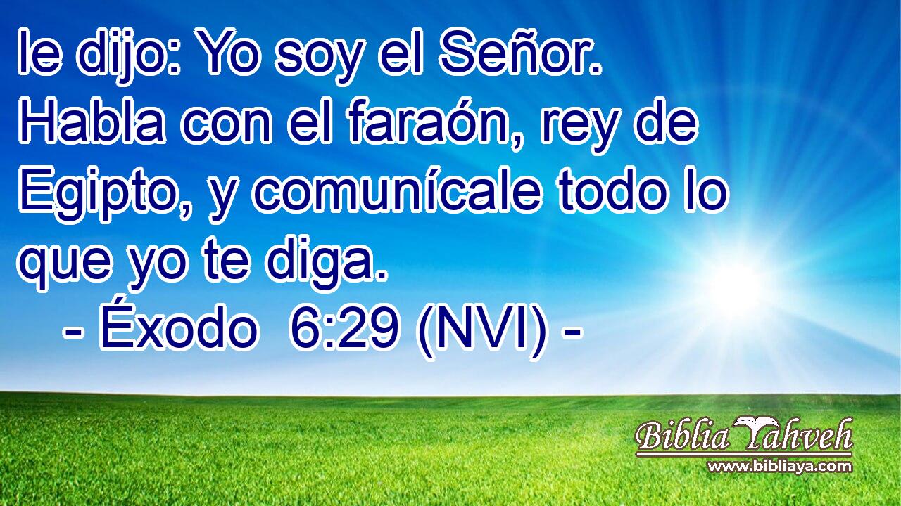  le dijo: Yo soy el Señor. Habla con el faraón, rey de Egipto, y comunícale todo lo que yo te diga. 