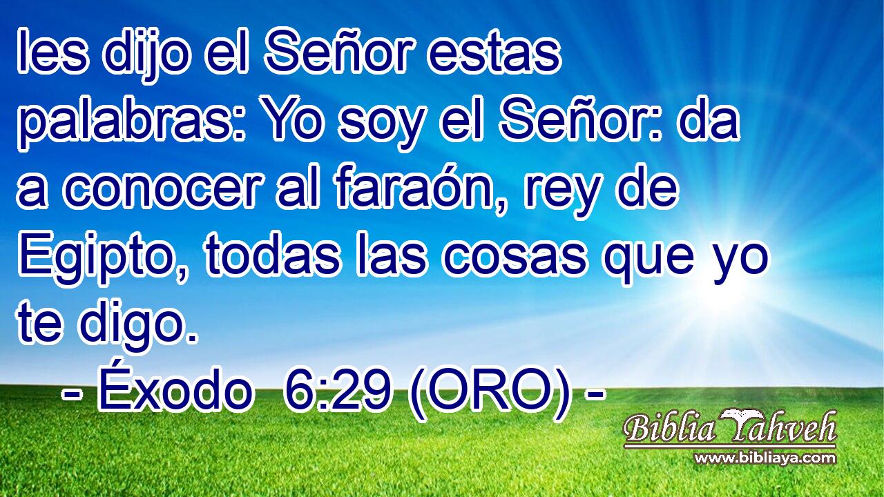  les dijo el Señor estas palabras: Yo soy el Señor: da a conocer al faraón, rey de Egipto, todas las cosas que yo te digo. 