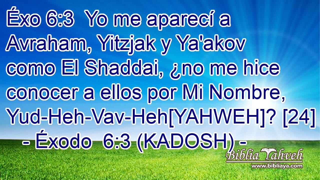  Yo me aparecí a Avraham, Yitzjak y Ya'akov como El Shaddai, ¿no me hice conocer a ellos por Mi Nombre, Yud-Heh-Vav-Heh[YAHWEH]? [24] 