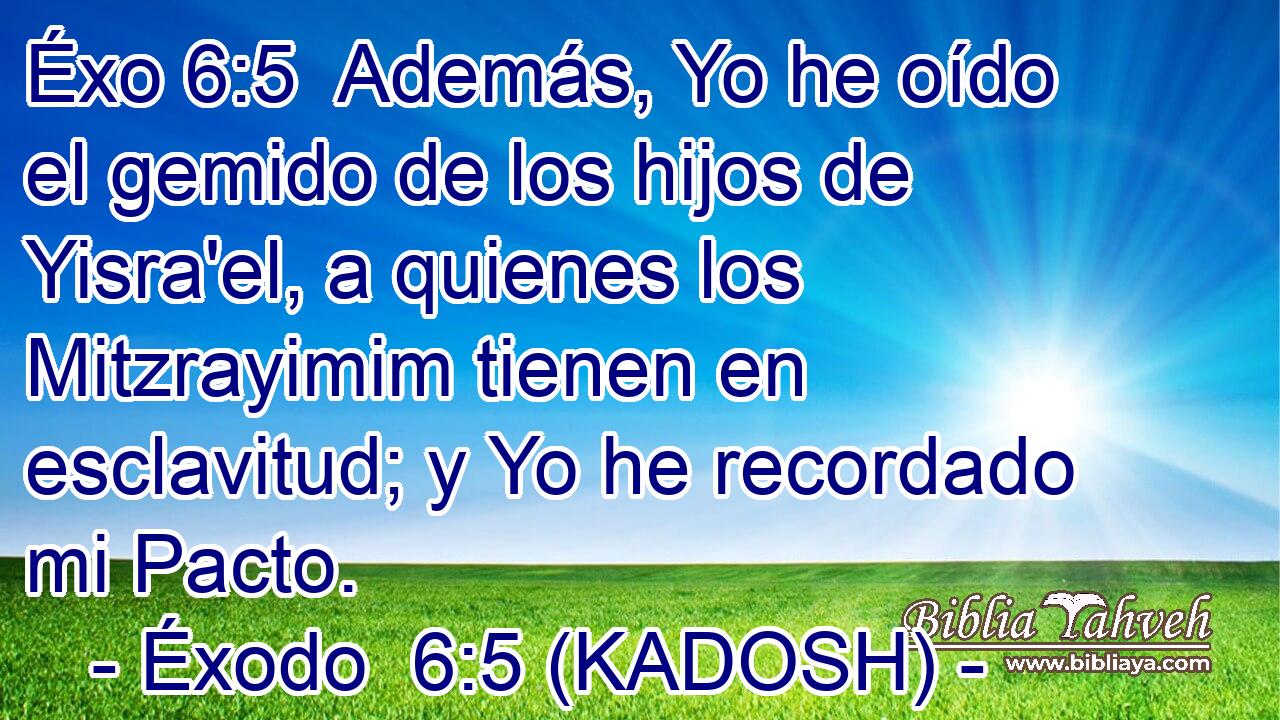  Además, Yo he oído el gemido de los hijos de Yisra'el, a quienes los Mitzrayimim tienen en esclavitud; y Yo he recordado mi Pacto. 